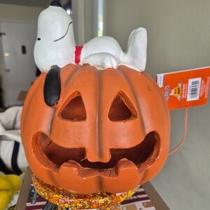 Peanuts Snoopy Halloween Pumpkin Decor